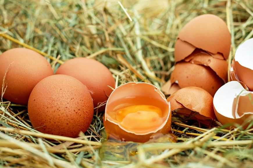 Tani sklep z ekologicznymi produktami