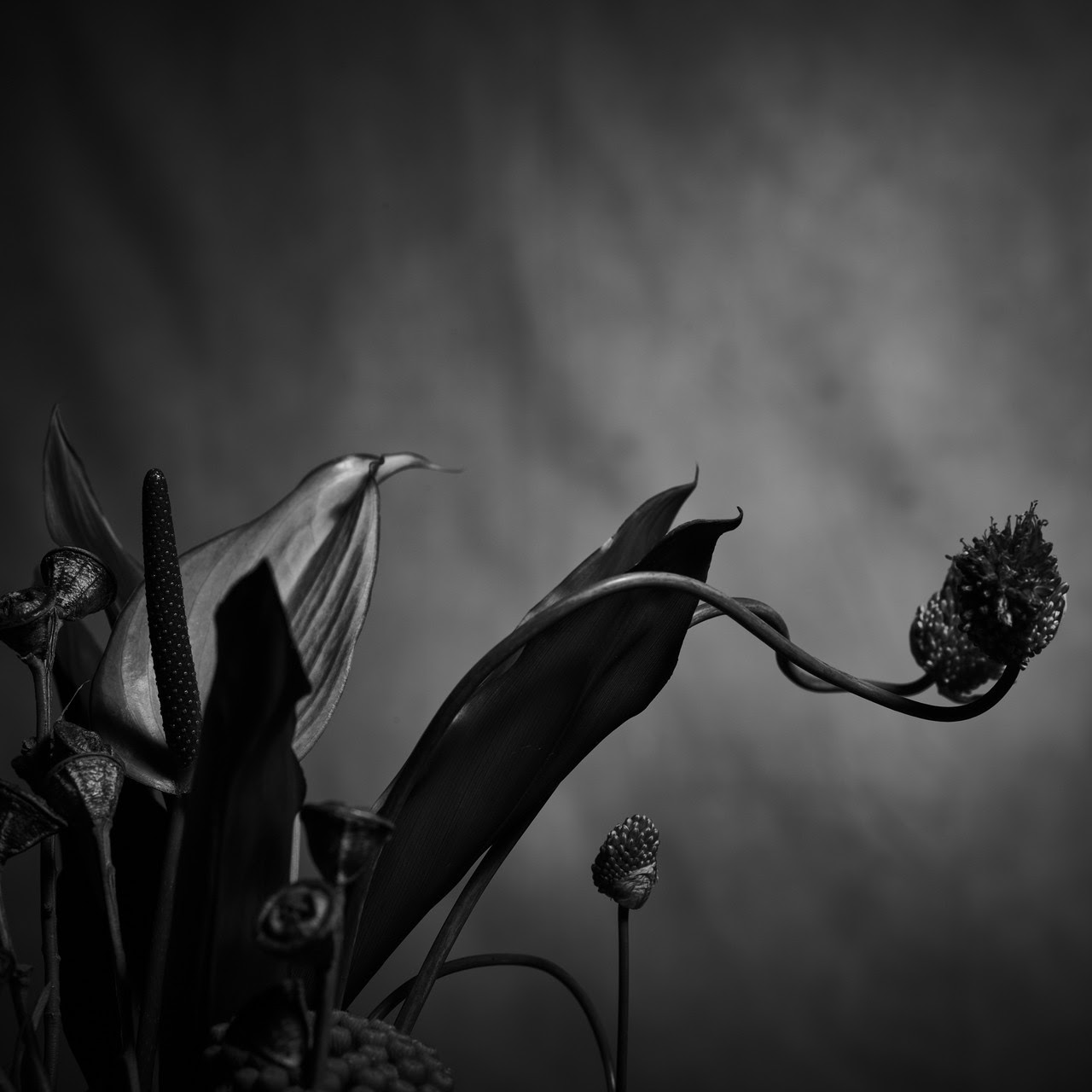 清春 J Pop Music Download