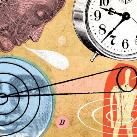 Seeking the Gears of Our Inner Clock