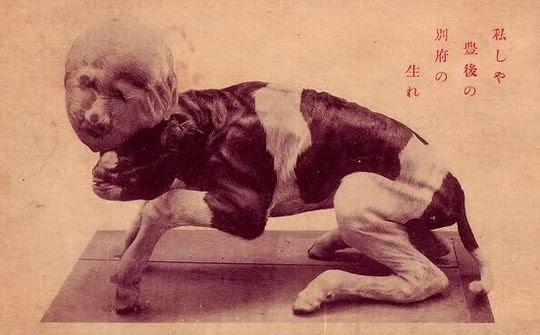 kudan japon (4)