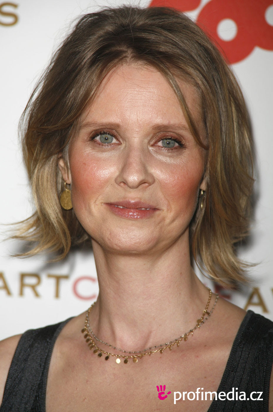 Cynthia Nixon - Photo Actress