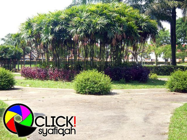 ©2010QClick! - Klik untuk foto yang lebih besar