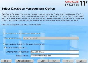 [Select DB Management Option]