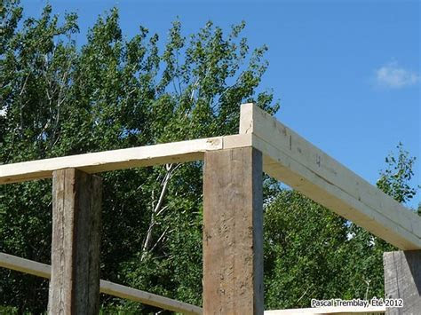 garden shed building plan firewood rack  roof