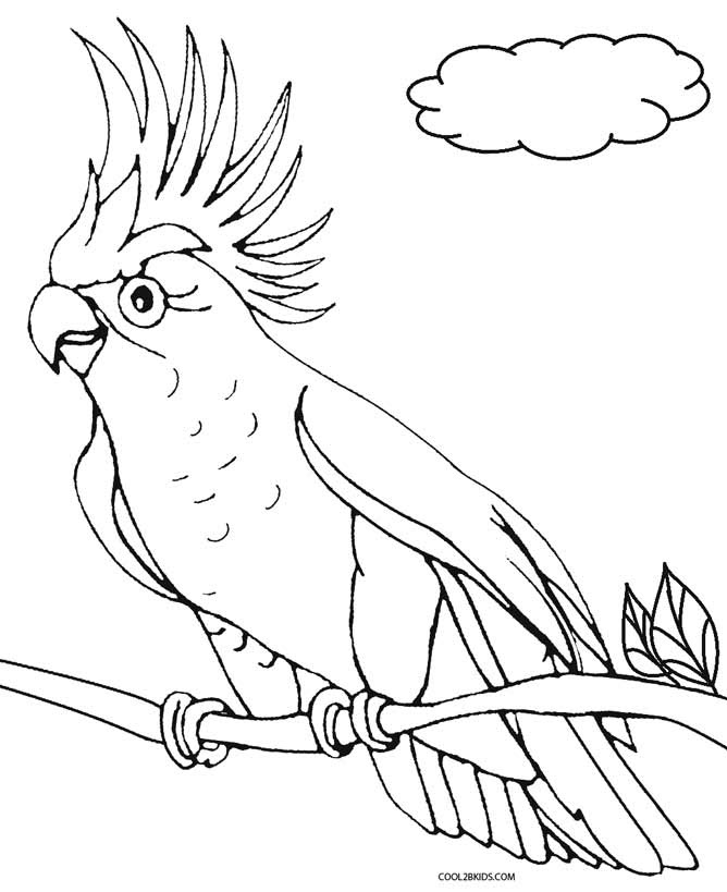 Download Printable Parrot Coloring Pages For Kids | Cool2bKids