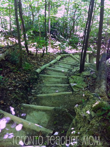 Hiking Down Blue Mountain