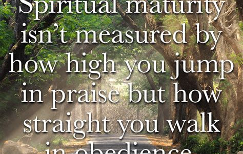 Download Kindle Editon The Walk The Measure Of Spiritual Maturity Hardcover PDF