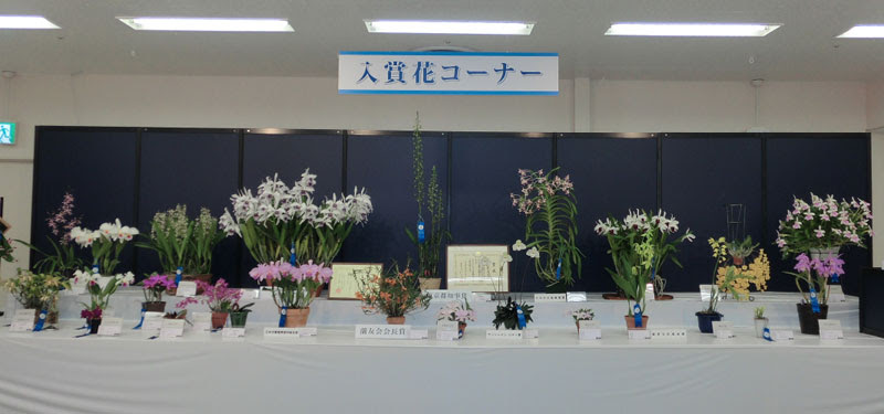 第57回蘭友会らん展inサンシャインシティ 蘭友会