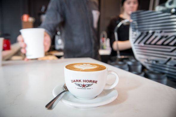 dark horse queen east toronto