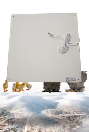 Flat Panel Coop Heater (Ceramic) | Farmin': Chickens | Pinterest