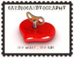 Cardiocandyography