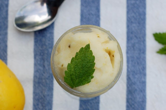 Meyer lemon sorbet topped with mint by Eve Fox, Garden of Eating blog