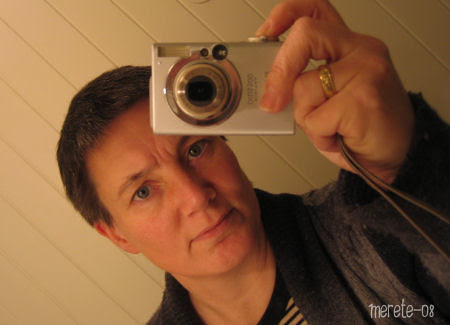 mirror :: 365sp-20 :: speil