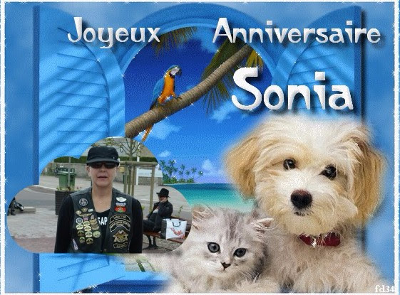 Un Tres Joyeux Anniversaire Sonia De Nous Quatre Gros Bisous Les Motosapiens De Spicheren