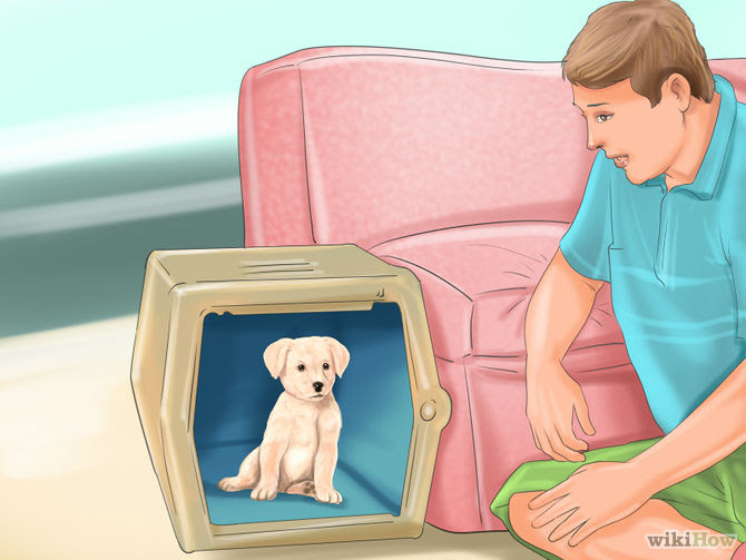 Crate Train Your Dog or Puppy Step 29 Version 2.jpg