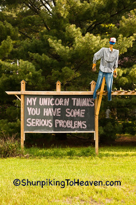 Message from a Roadside Philosopher, Iowa County, Wisconsin