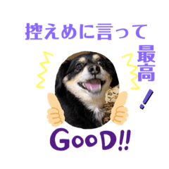 Lineスタンプ くす の完全一覧 全1000種類