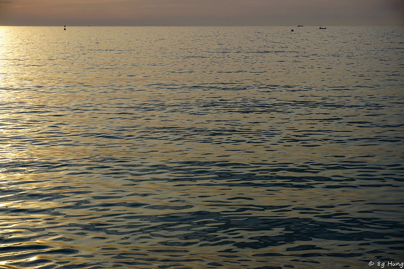 DSC03385