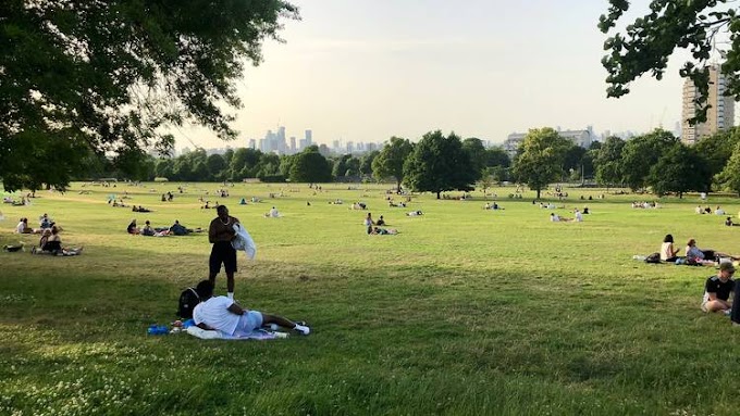 Campaigners have launched a legal challenge against music festivals in Brockwell Park