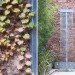 Mario Cito, LEED-seeking, Palo Santo Hotel, Buenos Aires, eco-lux accomodation, FSC wood, energy-efficient hotel, vertical garden, French restaurant, A3 lamparas, Nakina, rainwater cascade, foliage-printed vinyl