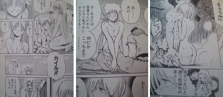 緒方ていの世界 その 苛酷な血の宿命に抗う少女と少年の物語 キメラ 全１６巻 完結編２巻 あそコロ 旧館 各記事の続きは 新館 でどうぞ