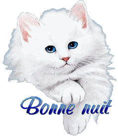 Gif Chat Angora Bonne Nuit Le Blog De Lemondedesgifs Over Blog Com