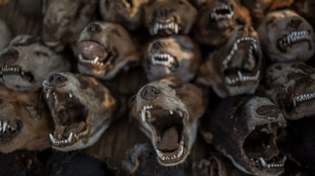 Foto: Inilah Toko dan Pasar Teraneh di Dunia! Wah, Nomor 5 dari Indonesia Lho! http://ift.tt/20kt43r - Berita Terkini Terbaru Hari Ini - Pelancong selalu ingin menemukan hal yang baru, unik, aneh, nyentrik terutama yang belum pernah didatangi atau diketahui Mengunjungi toko atau pasar yang ada di sebuah kota atau negara saat traveling seolah sudah menjadi kegiatan yang wajib dilakukan, tak lain buah tangan yang diburu untuk teman, kerabat atau saudara yang dikasihi.