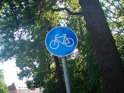 P8180021.JPG