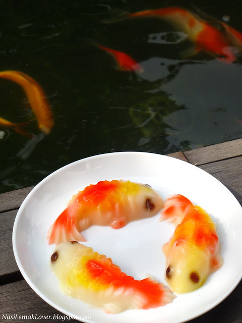 Koi Fish Jelly