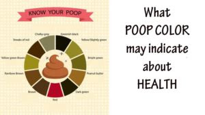 This was pre camera phones, and i really . what poop color may indicate about health womenworking