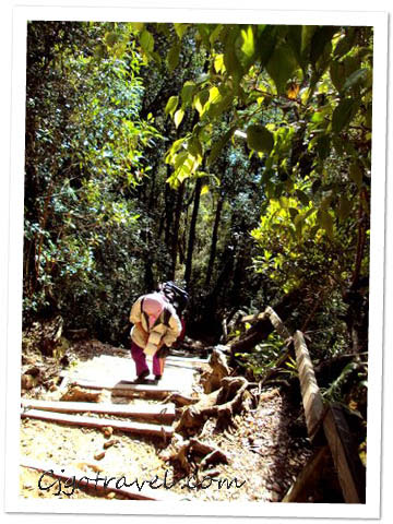 Mt Kinabalu