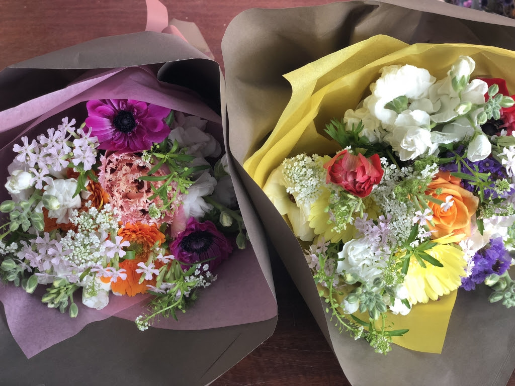今日の花 草香 花と葉っぱとひとりごと