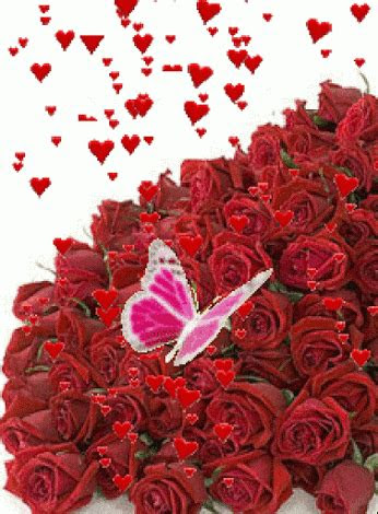 roses gifs find share  giphy