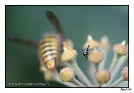IMG_1632_sign_e