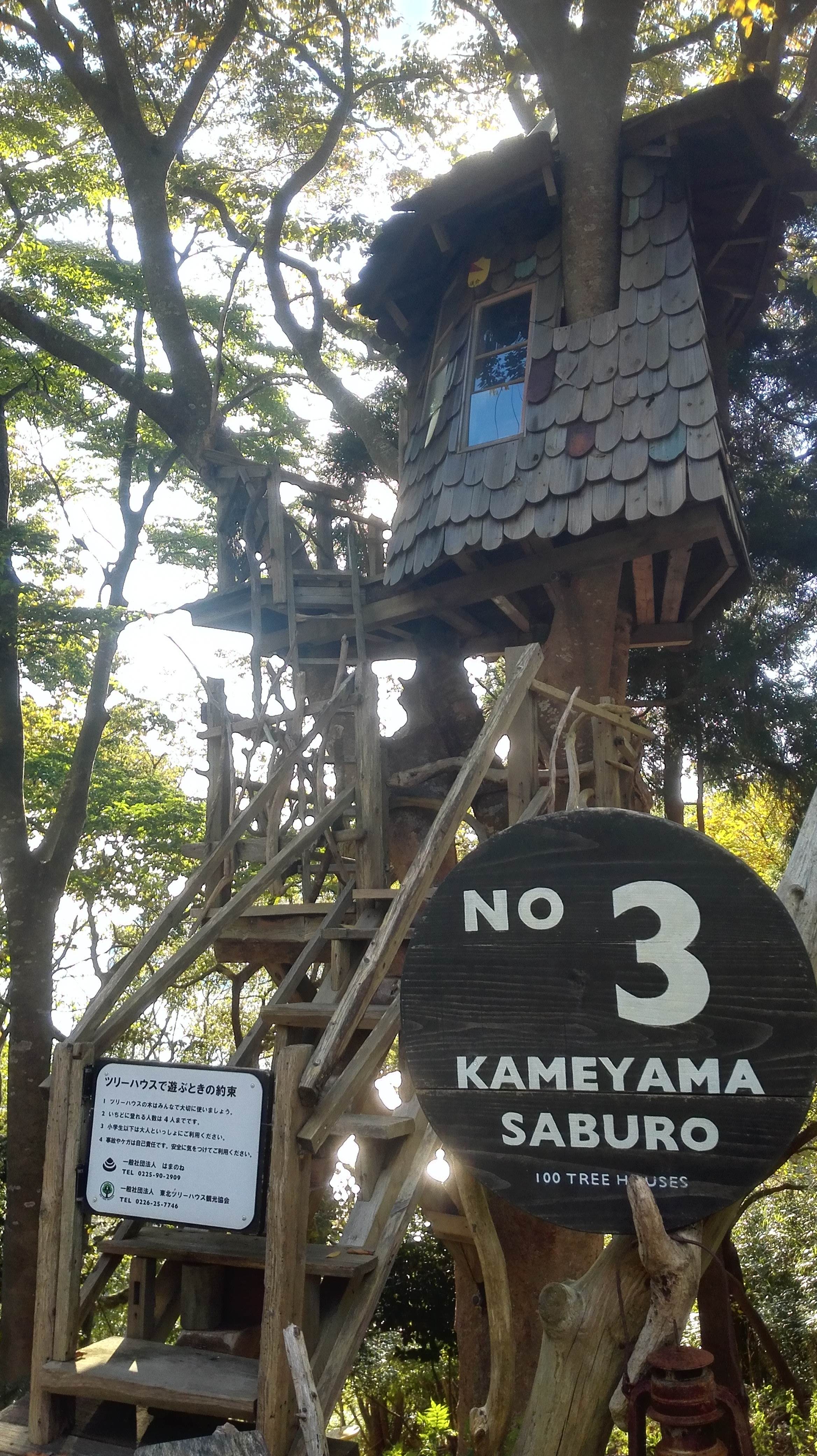 美しい生活２ ツリーハウスに 女川きっかけ