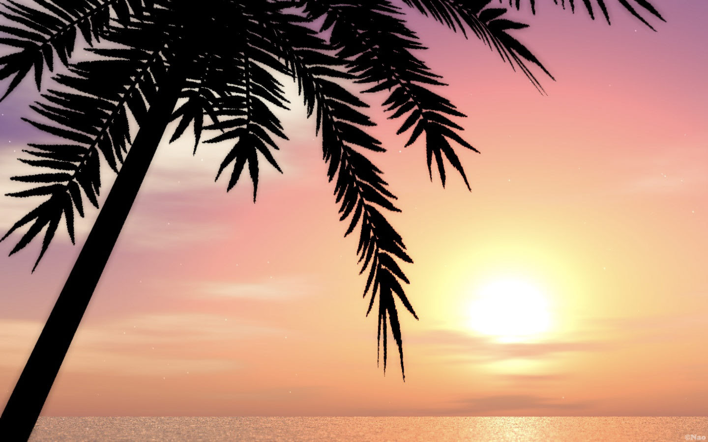 ヤシの木と夕日の壁紙 Naoの あちらのお客様からです