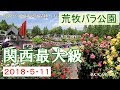 【ベストコレクション】 バラ 園 関西 221310