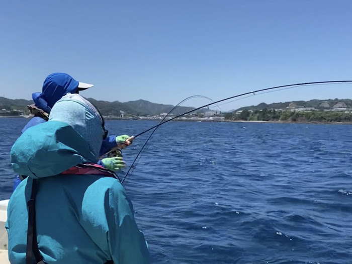 更新履歴年前期