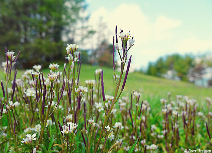Winter into spring