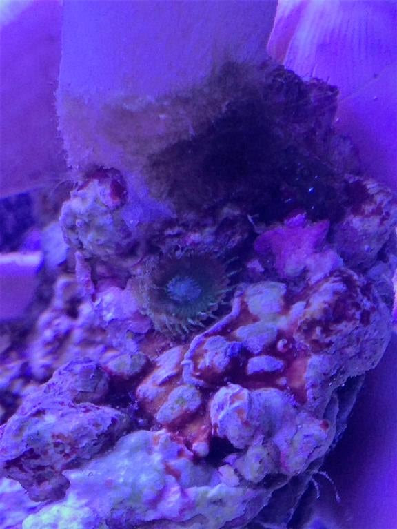 Click image for larger version Name: IMG_0023.jpg Views: N/A Size: 59.5 KB ID: 124305