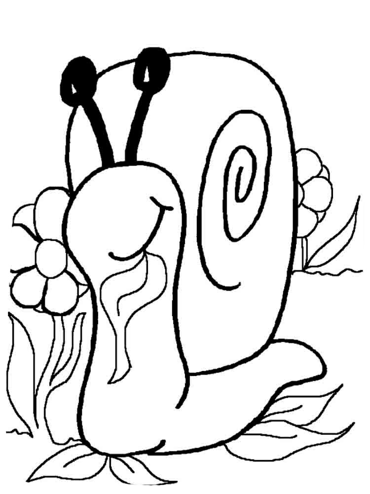 Snail coloring pages to download and print for free