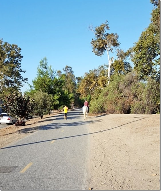 horse on trail (450x800) (2) - Copy