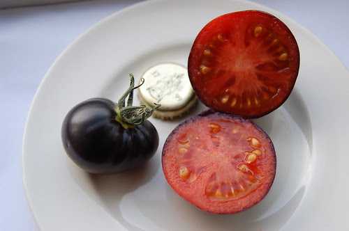 OSU Blue Fruit tomato