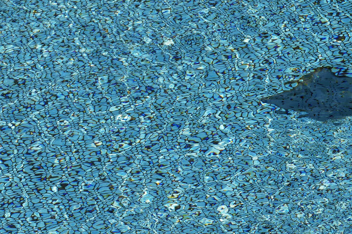 P1070633.JPG