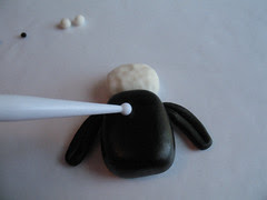 shaun6