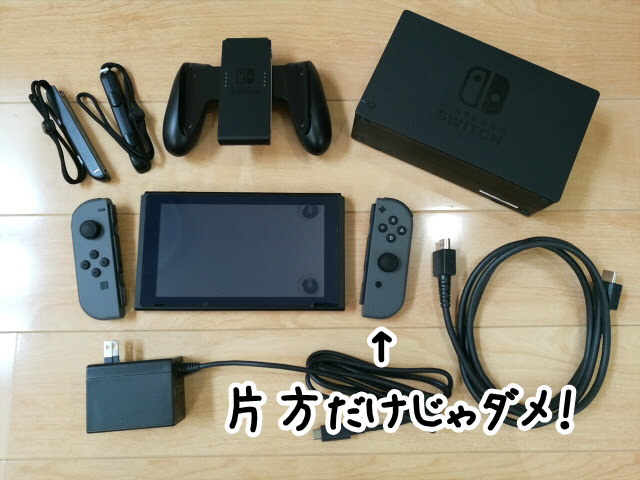 ニンテンドースイッチのminecraft マインクラフト を二人プレイで遊ん
