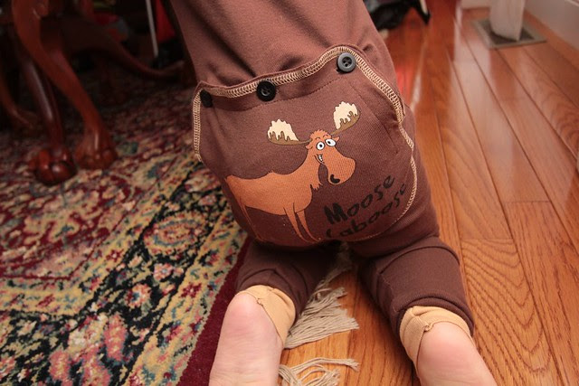 moosecaboose