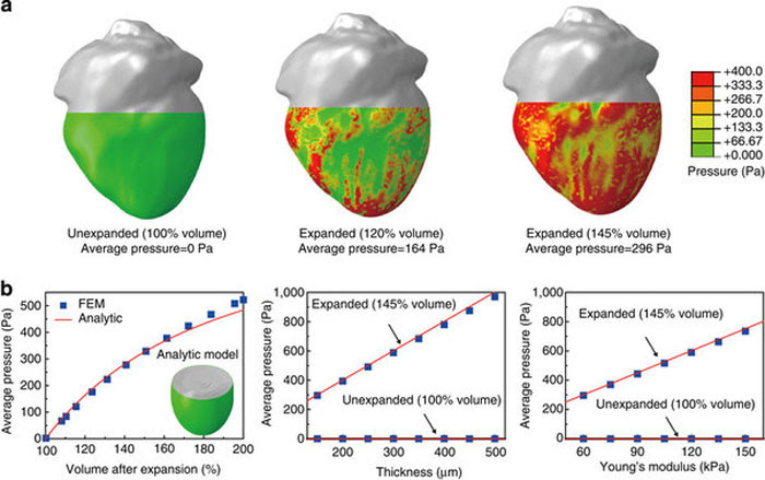 heart pressure 3D Printing