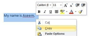 copy text word