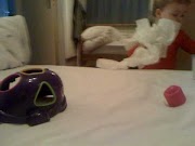 video phone lyrics Iphone testje stopmotion Walvis